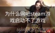 为什么网吧steam游戏启动不了游戏
