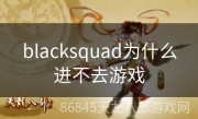 blacksquad为什么进不去游戏