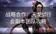 战略合作：天龙sf行会副本团队攻略