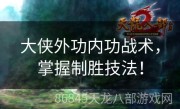 大侠外功内功战术，掌握制胜技法！