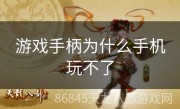 游戏手柄为什么手机玩不了