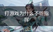 打游戏为什么不听指挥