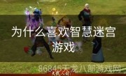 为什么喜欢智慧迷宫游戏