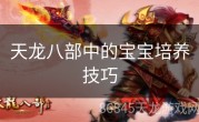 天龙八部中的宝宝培养技巧