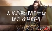 天龙八部sfVIP等级提升效益解析