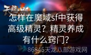 怎样在魔域sf中获得高级精灵？精灵养成有什么窍门？