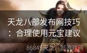 天龙八部发布网技巧：合理使用元宝建议