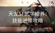 天龙SF武学修养：技能进阶攻略