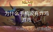 为什么手机没有炸鸡游戏