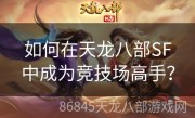 如何在天龙八部SF中成为竞技场高手？