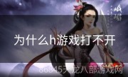 为什么h游戏打不开